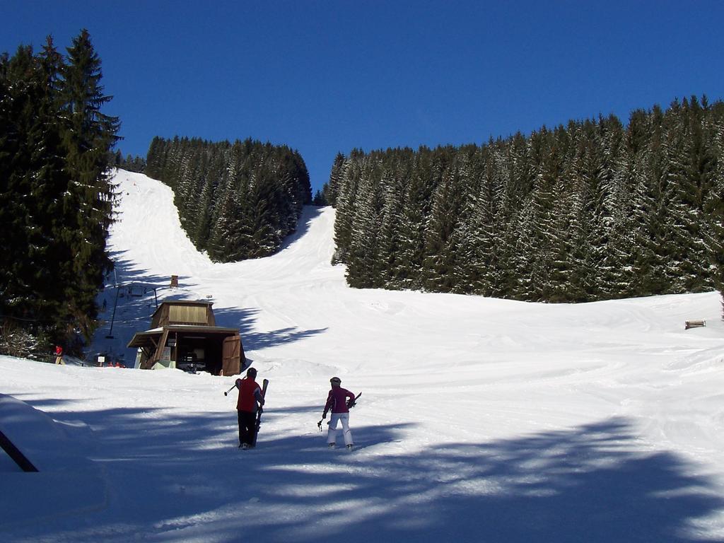 Appartamento Edelweiss Schulenberg im Oberharz Esterno foto